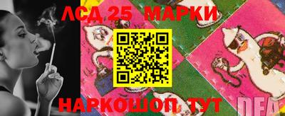 дживик Сланцы