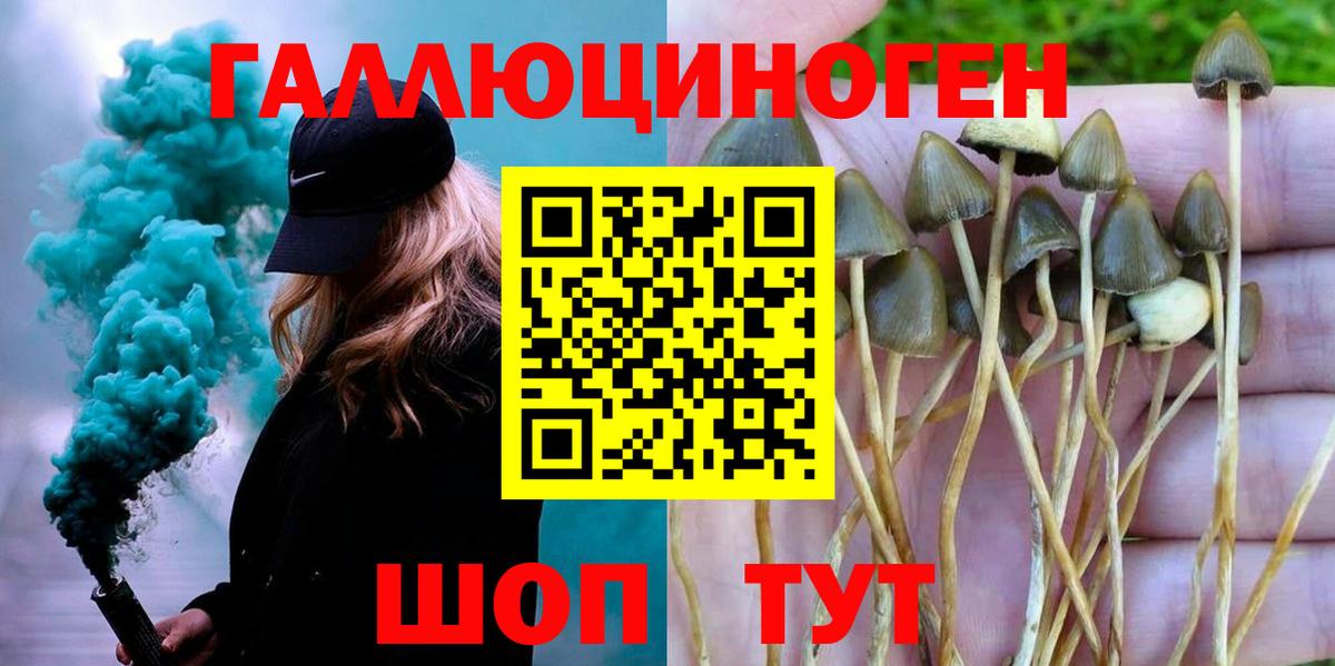 Псилоцибиновые грибы мухоморы Нововоронеж