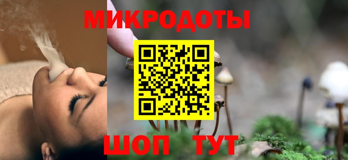 Нововоронеж  Псилоцибиновые грибы Magic Shrooms  где купить наркоту  Вход с VPN 