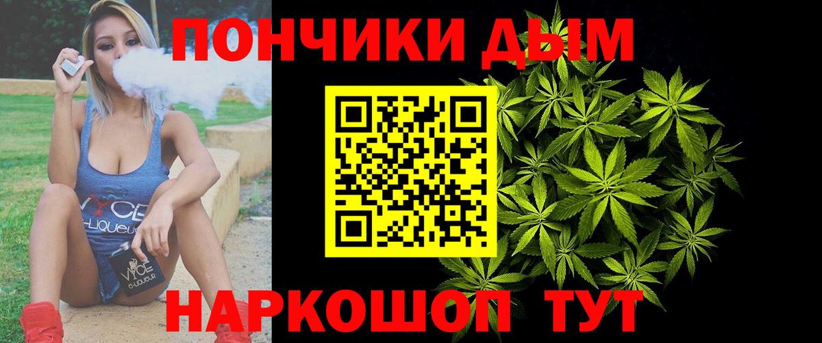 Конопля сатива Нововоронеж